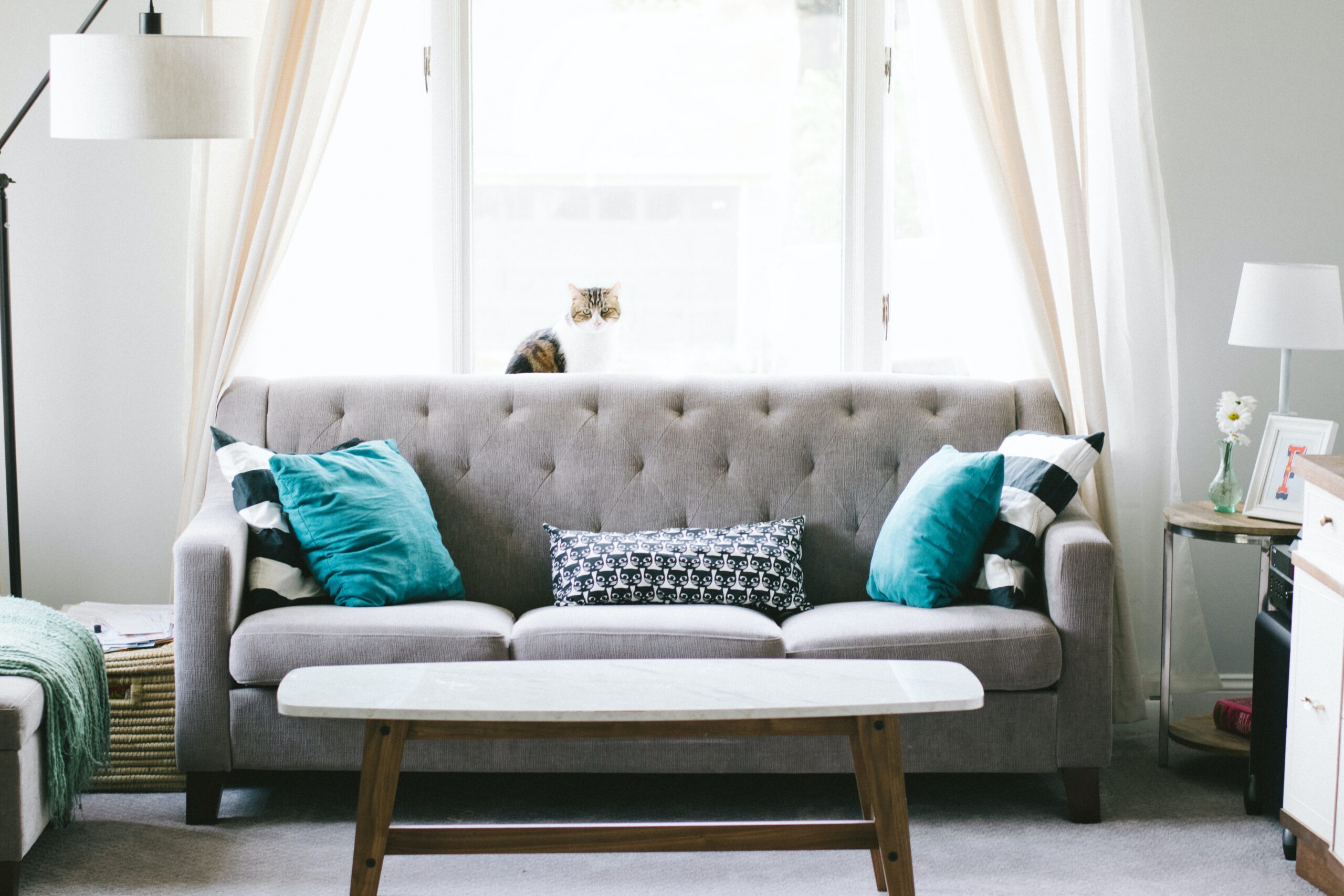 5 Things To Think About When Choosing A Sofa